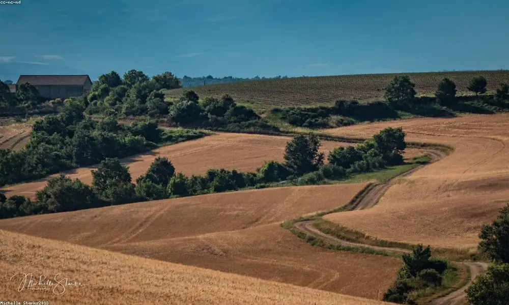 Nature and Countryside
