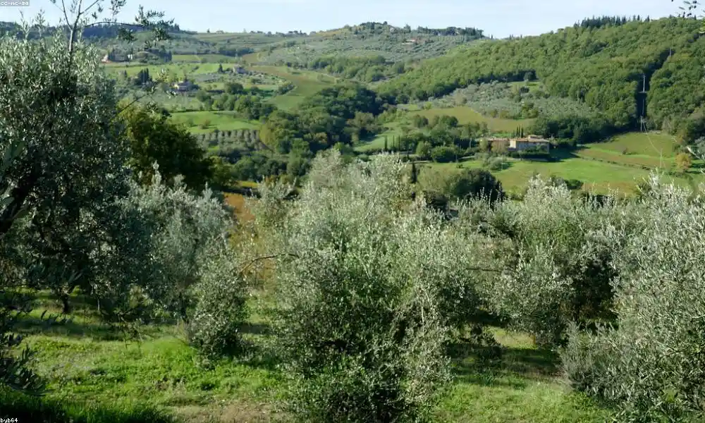 Taste of Tuscany